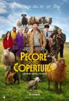 PECORE SOTTO COPERTURA
